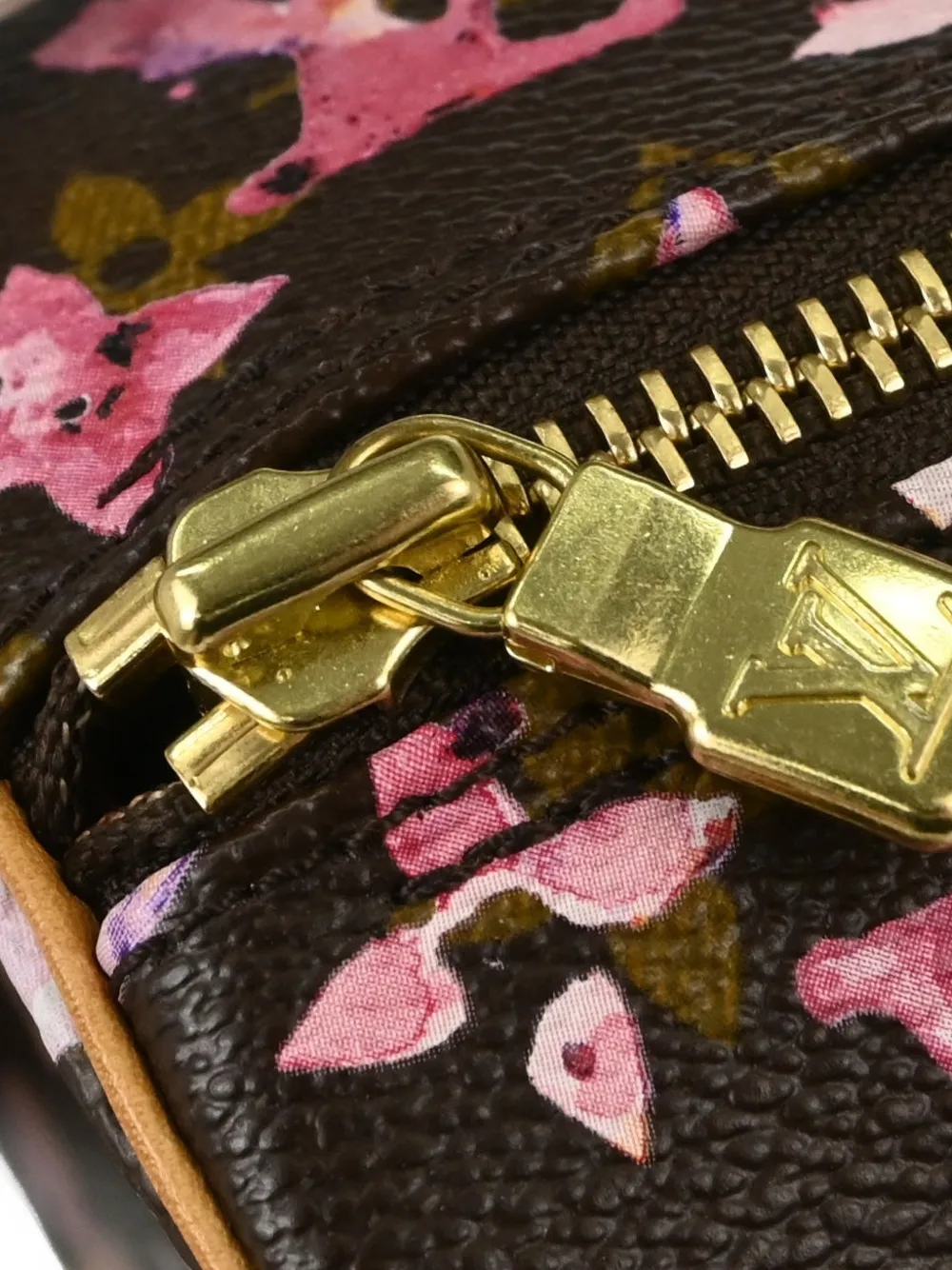 Louis Vuitton Pre-Owned Monogram Watercolor Papillon tote bag Bruin