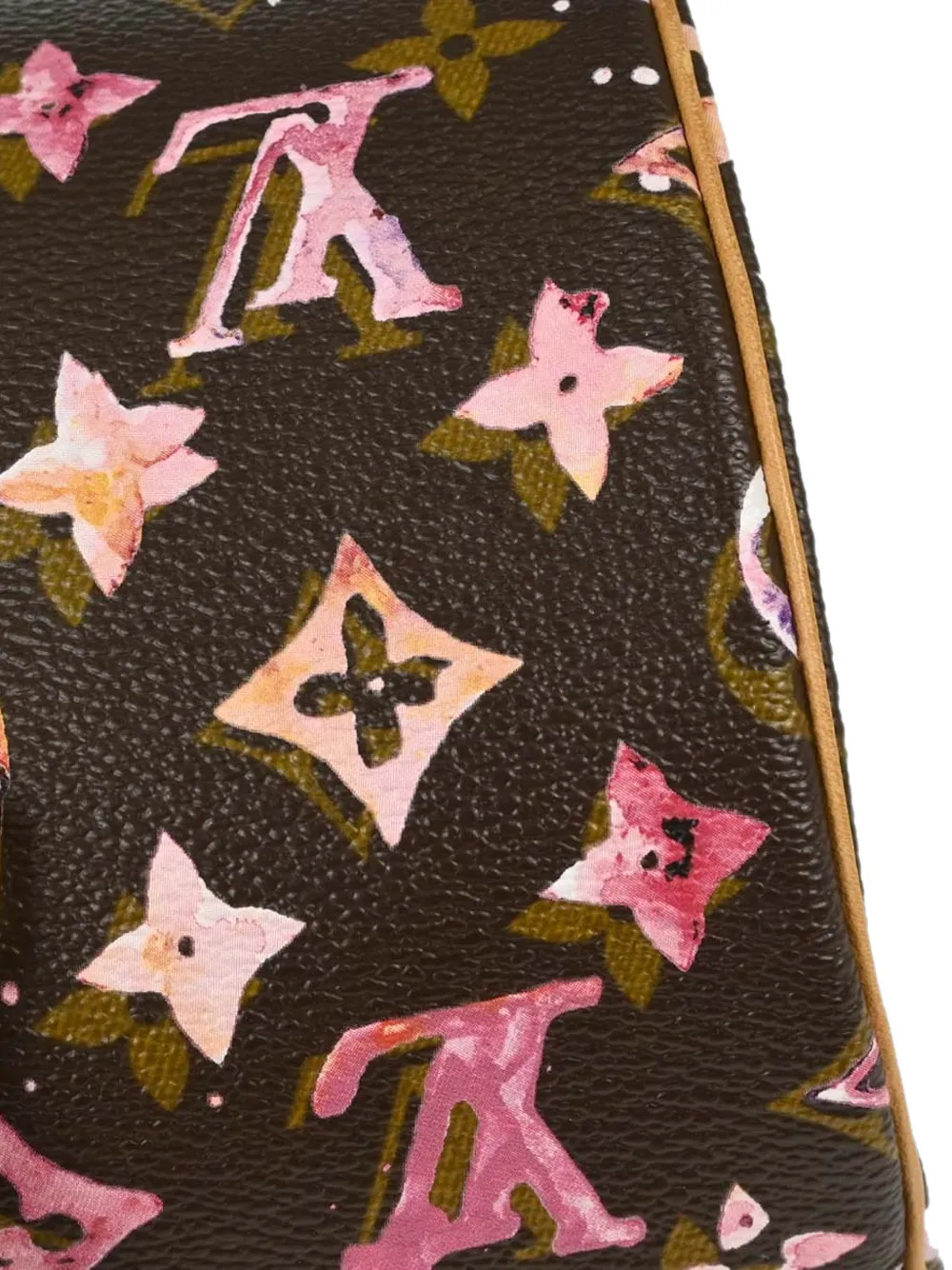 Louis Vuitton Pre-Owned Monogram Watercolor Papillon tote bag Bruin