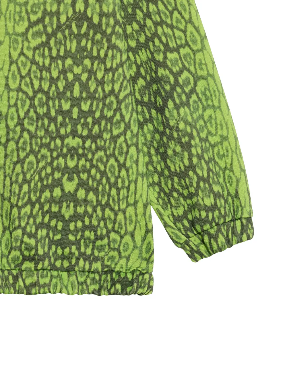 Roberto Cavalli Junior leopard-print zip-up hoodie Groen