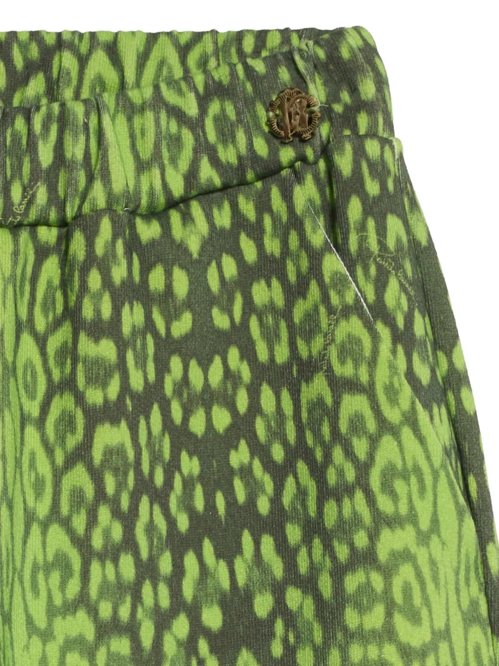 Roberto Cavalli Junior Broek met luipaardprint Groen