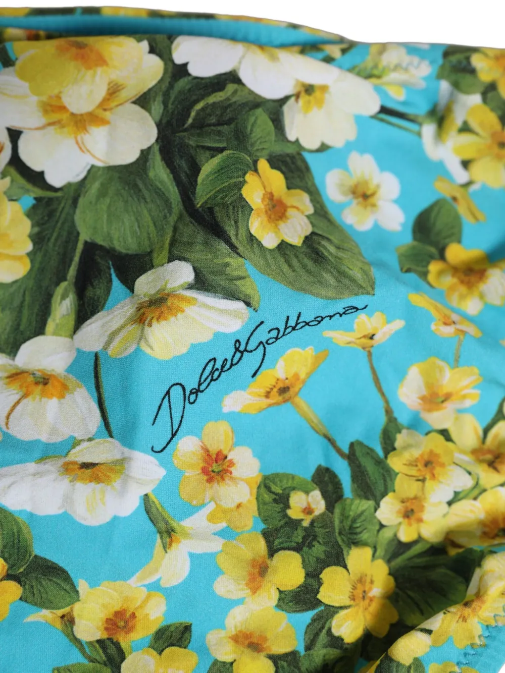 Dolce & Gabbana Bikinislip met bloemenprint Blauw