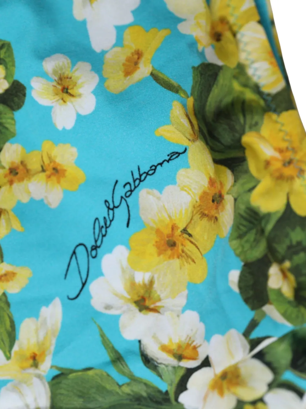 Dolce & Gabbana Bikinislip met bloemenprint Blauw