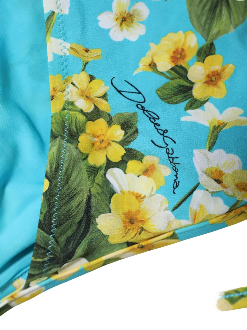 Dolce & Gabbana floral-print bikini bottoms Blauw