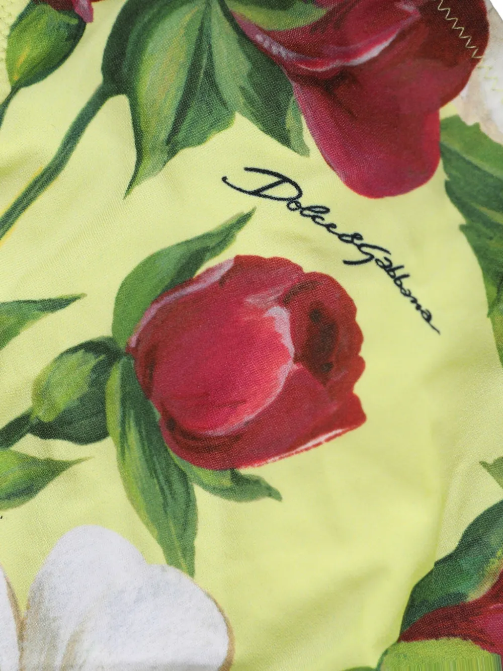 Dolce & Gabbana floral-print bikini bottoms Geel