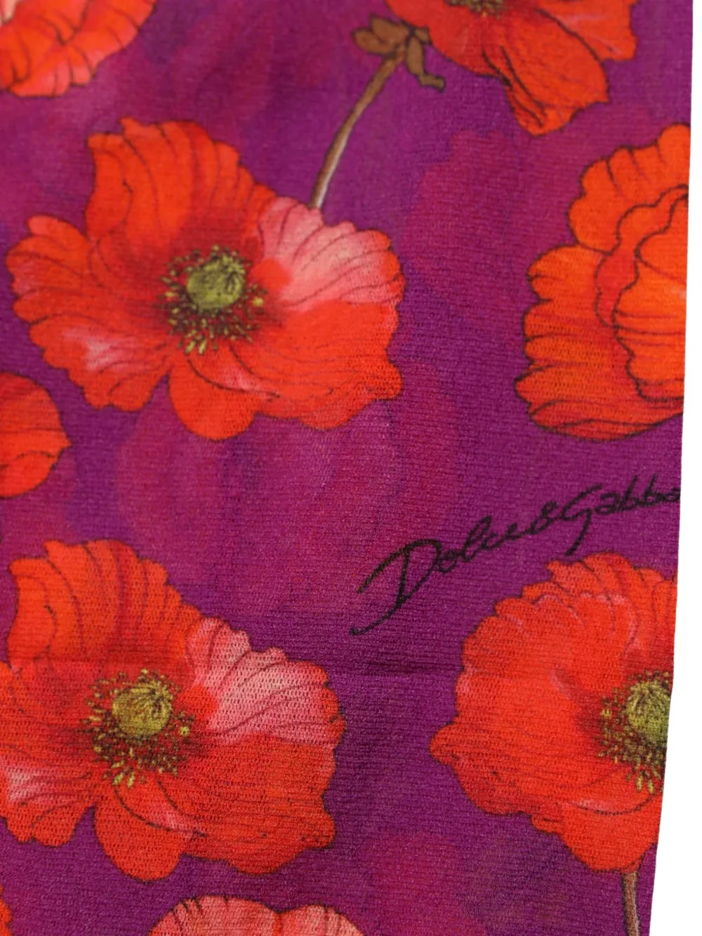 Dolce & Gabbana Tulen panty met bloemenprint Paars