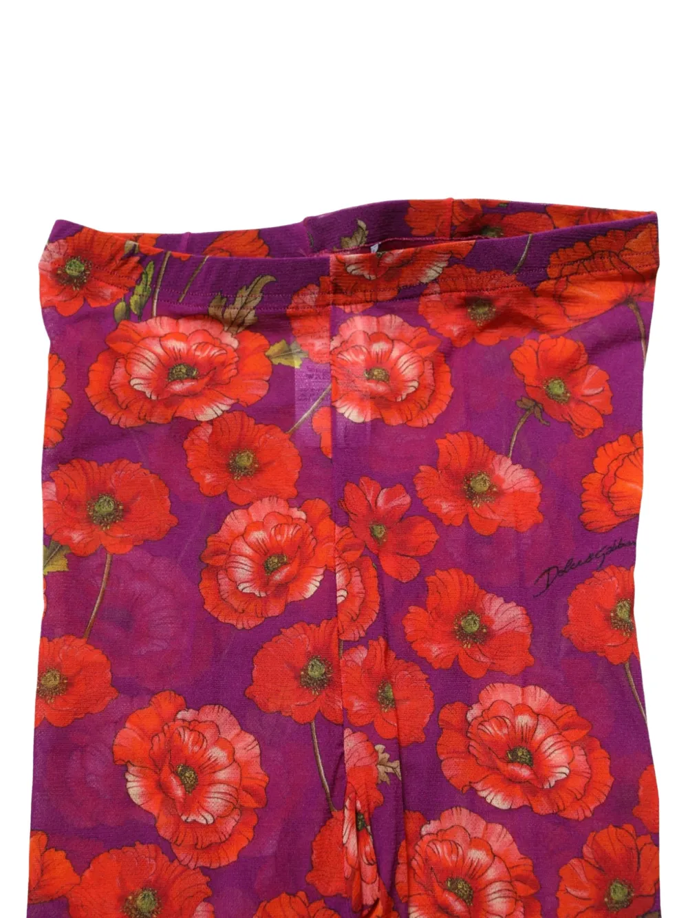 Dolce & Gabbana Tulen panty met bloemenprint Paars