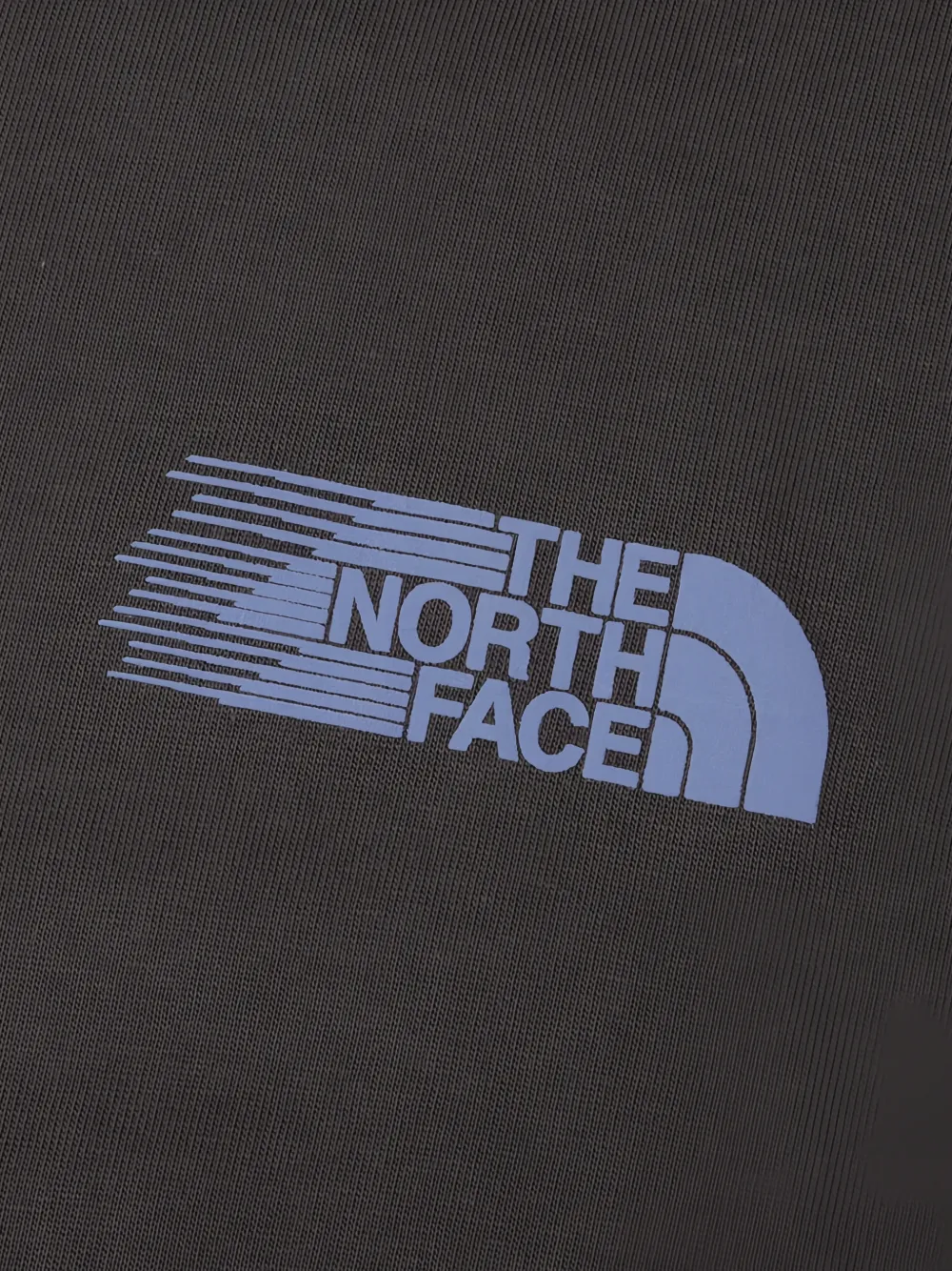 The North Face Retro Trail relaxed graphic T-Shirt Grijs