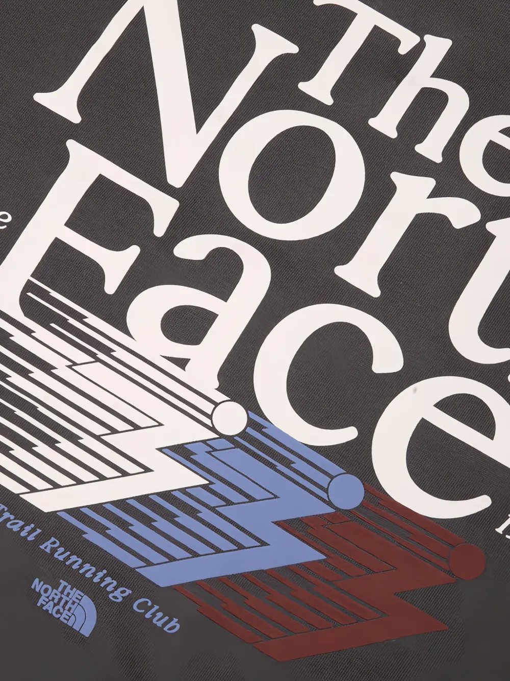 The North Face Retro Trail relaxed graphic T-Shirt Grijs