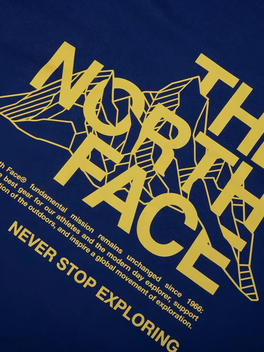 The North Face Evolution Mountain Sketch regular-fit hoodie Blauw