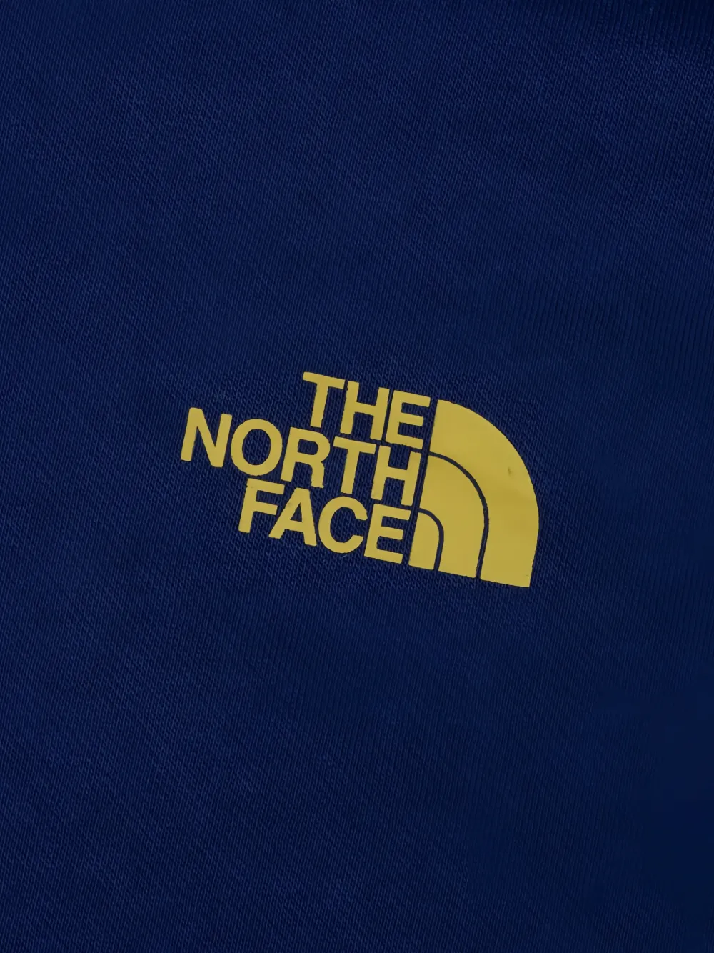 The North Face Evolution Mountain Sketch regular-fit hoodie Blauw