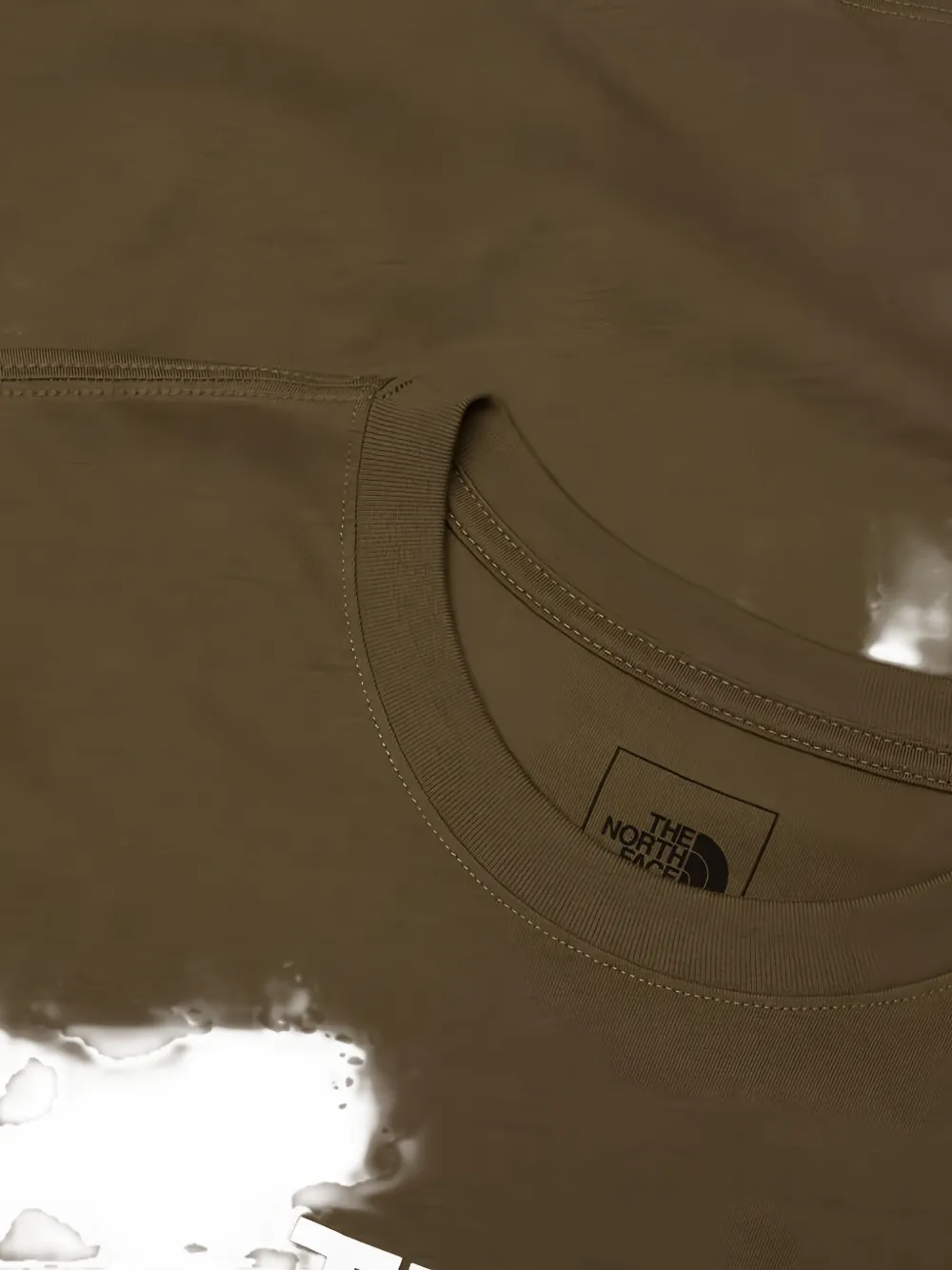 The North Face Evolution Half Dome T-shirt Bruin