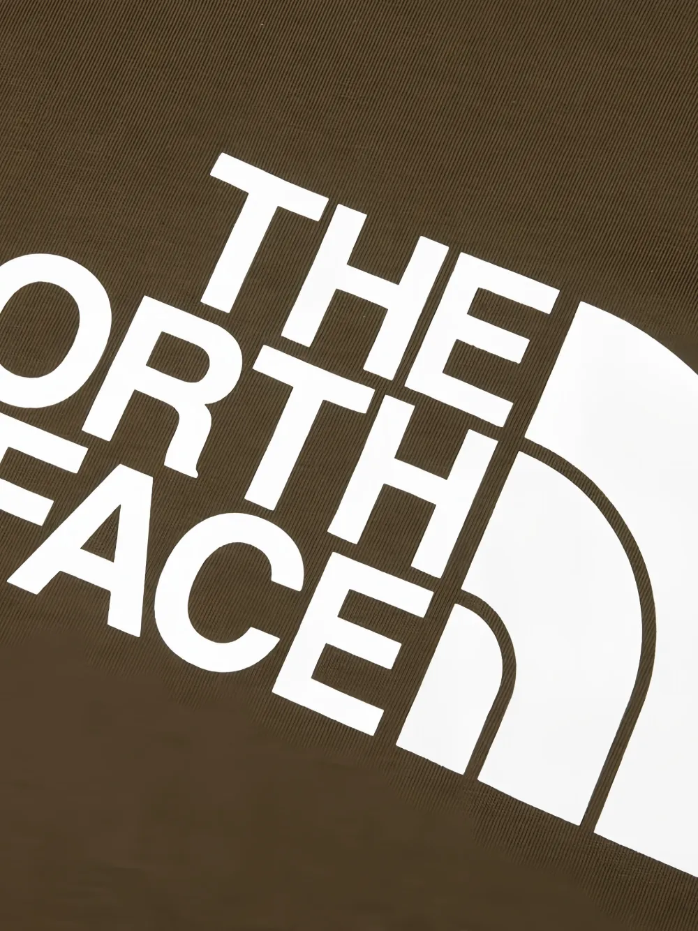 The North Face Evolution Half Dome T-shirt Bruin