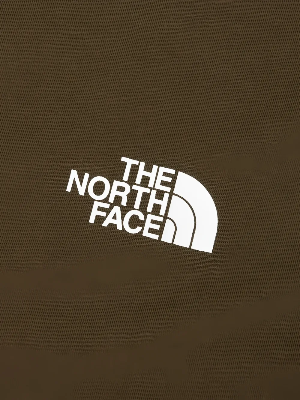 The North Face Evolution Half Dome T-shirt Bruin