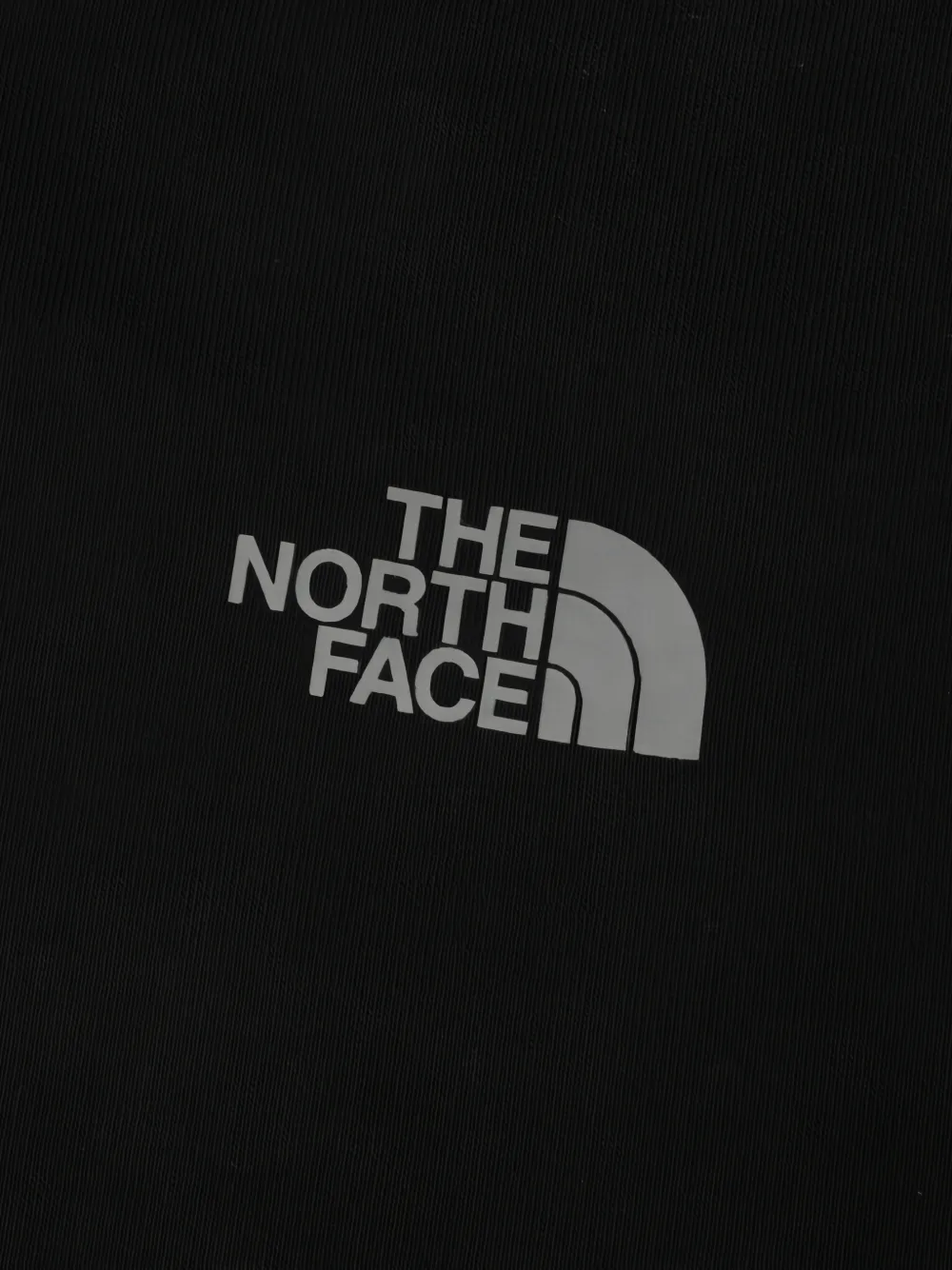 The North Face Evolution Mountain Sketch regular-fit hoodie Zwart