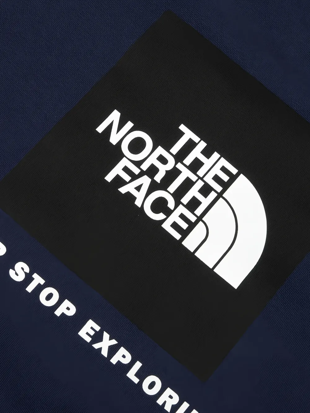 The North Face Evolution Box NSE regular hoodie Blauw
