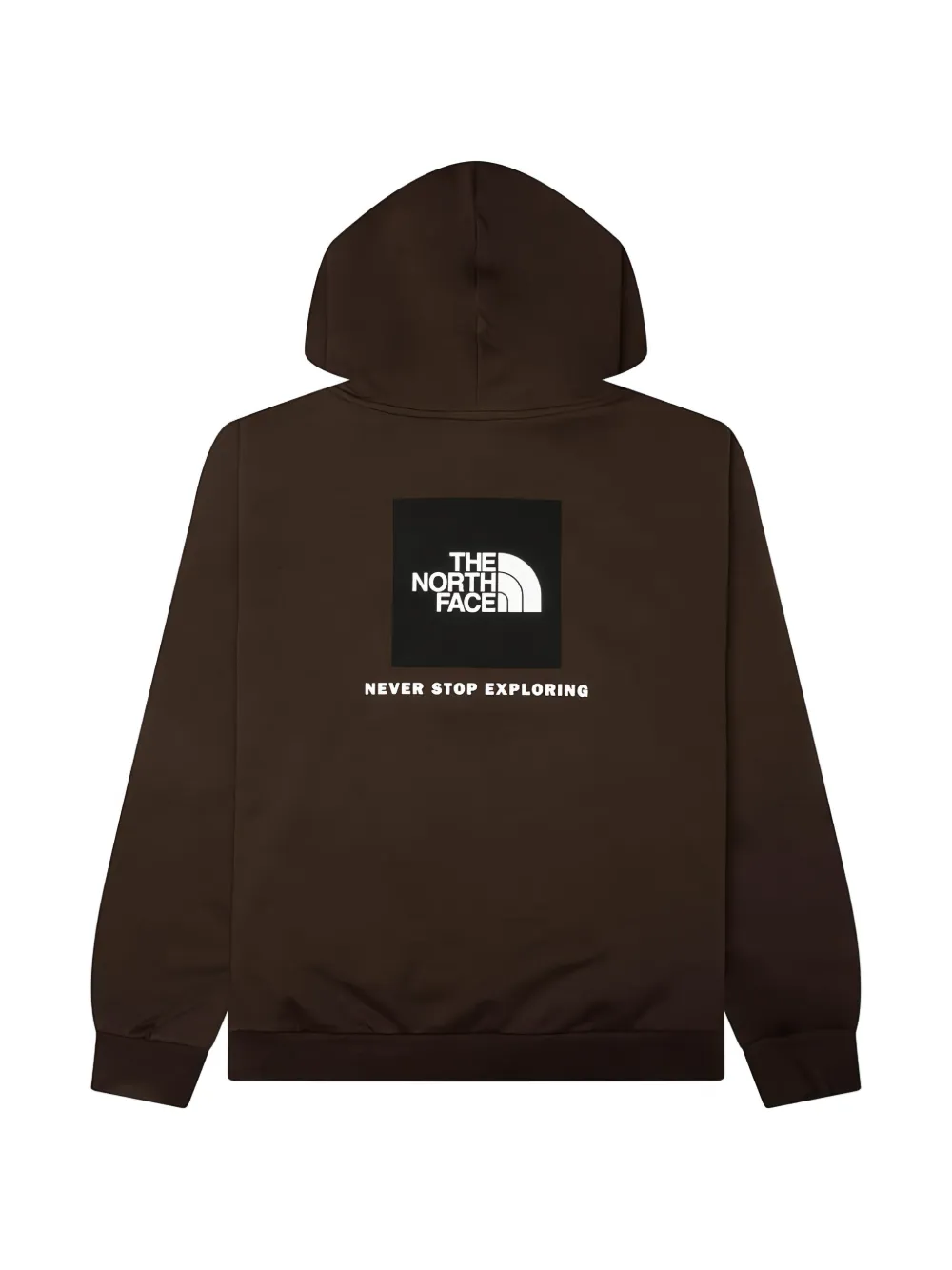 The North Face Evolution Box NSE regular hoodie Bruin