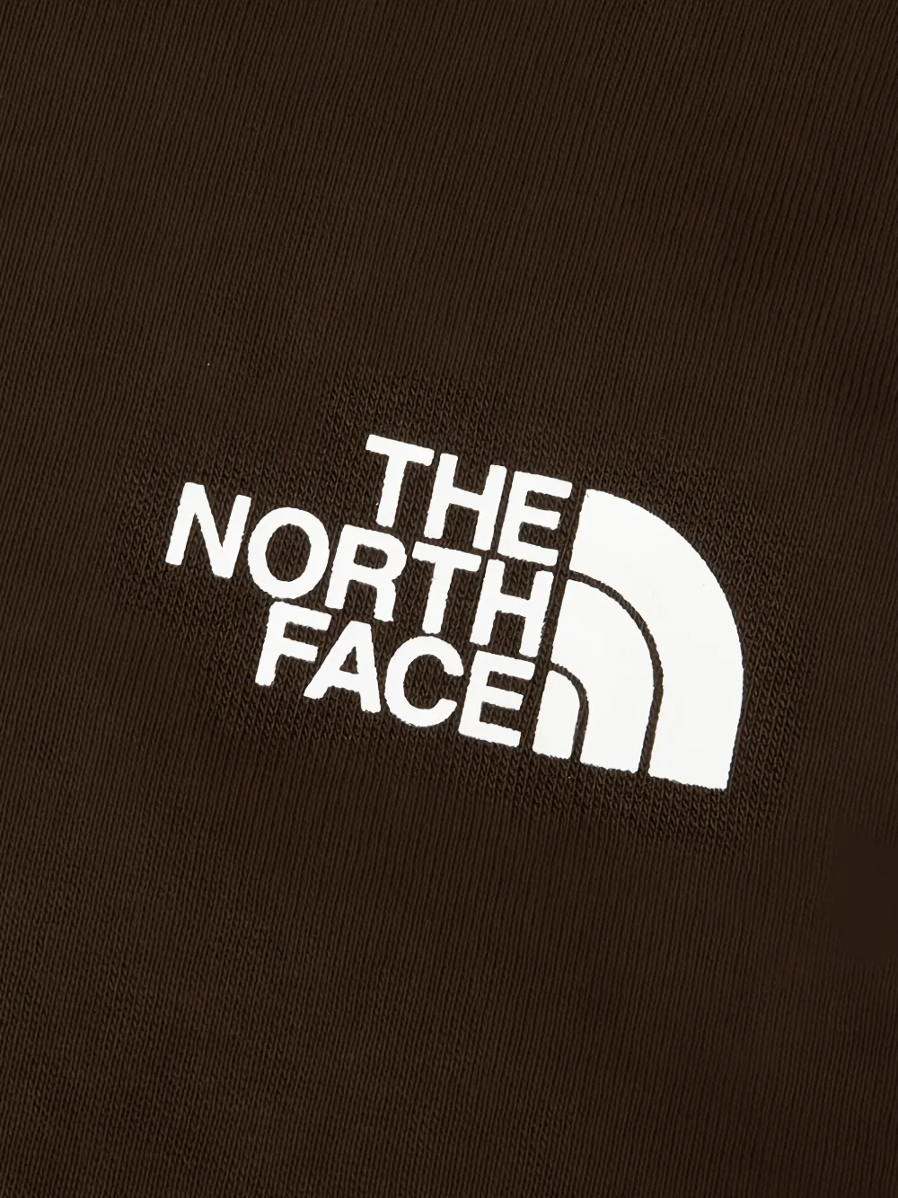 The North Face Evolution Box NSE regular hoodie Bruin