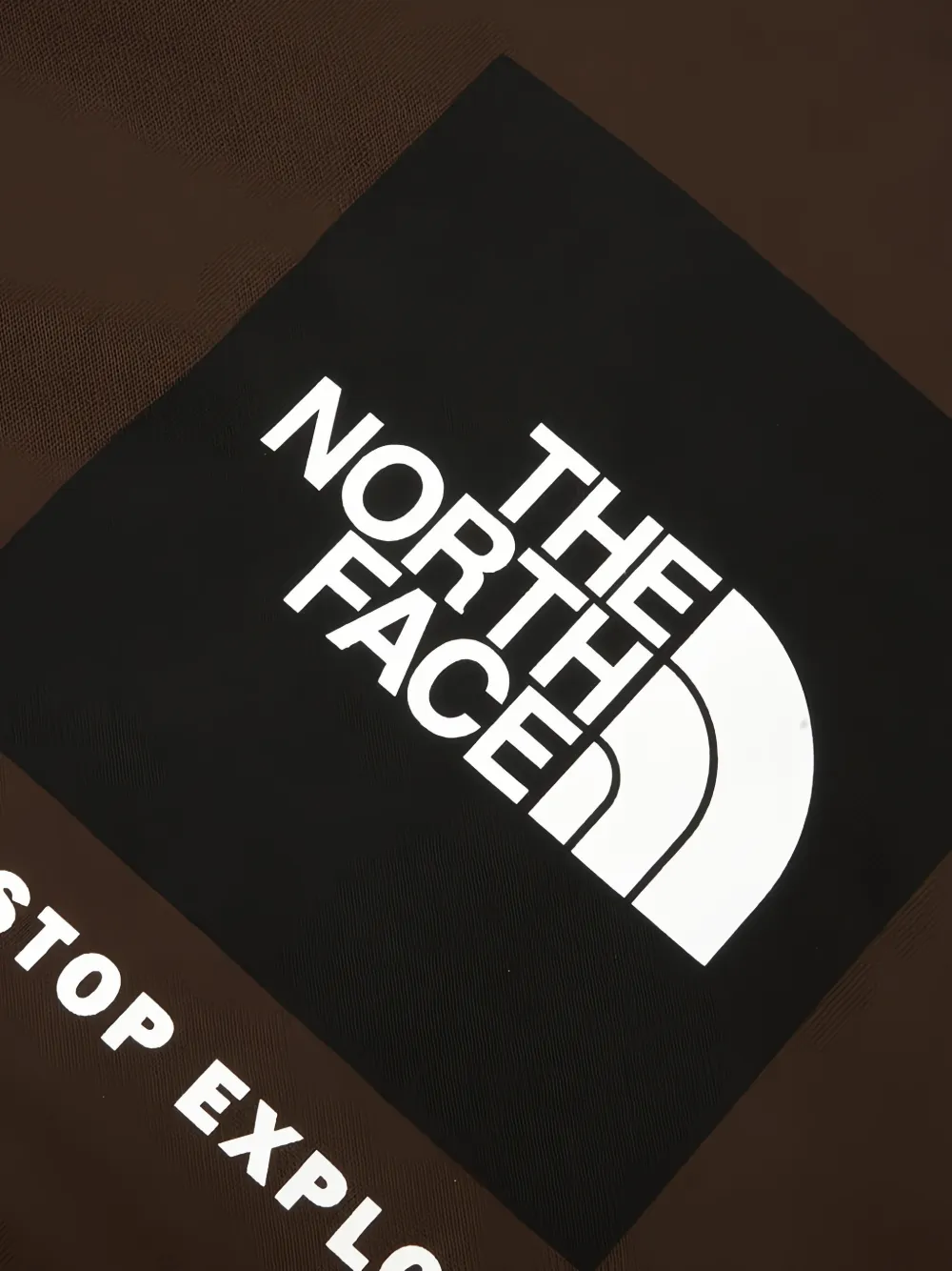 The North Face Evolution Box NSE regular hoodie Bruin