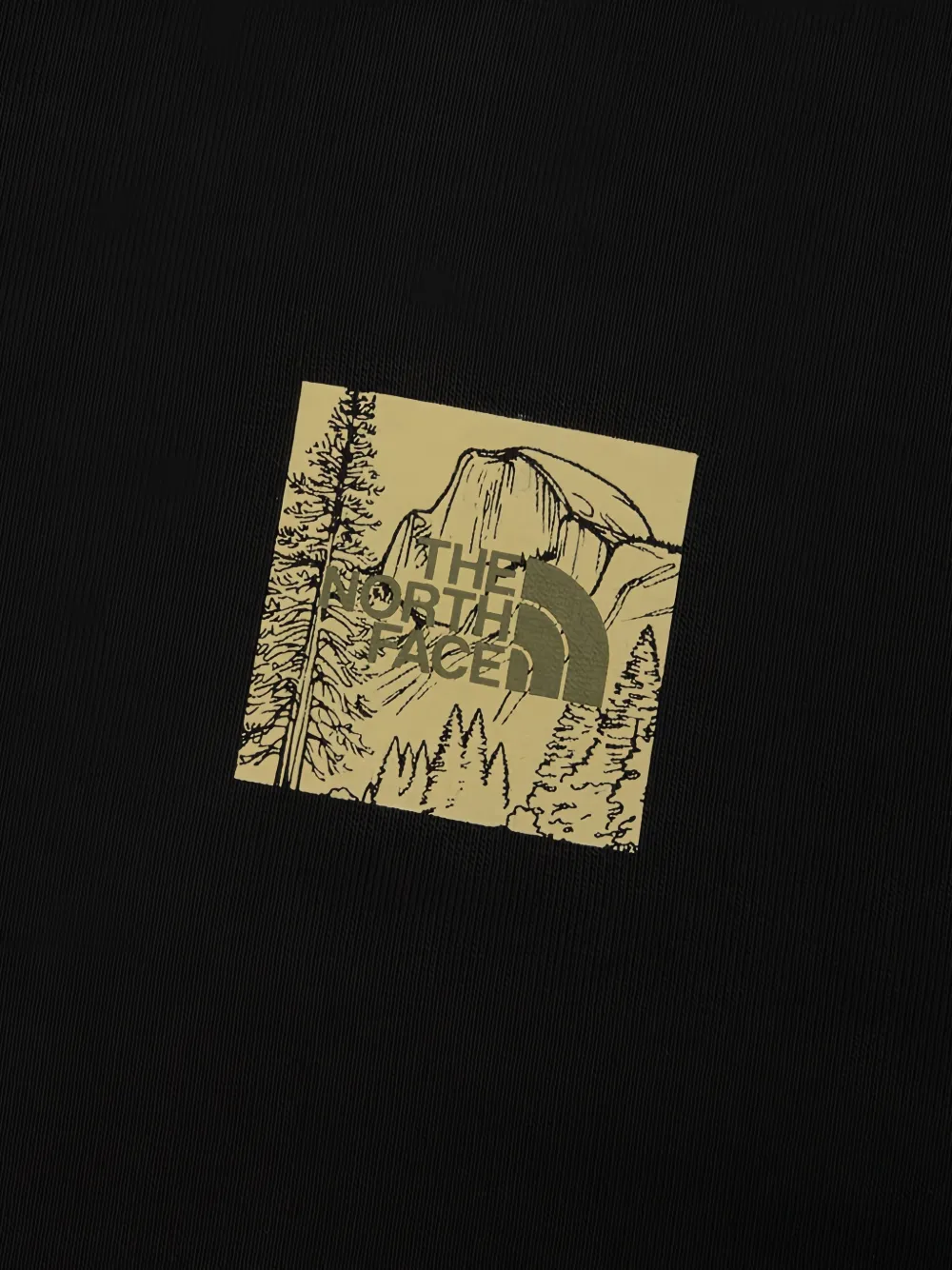 The North Face Evolution Monte regular hoodie Zwart