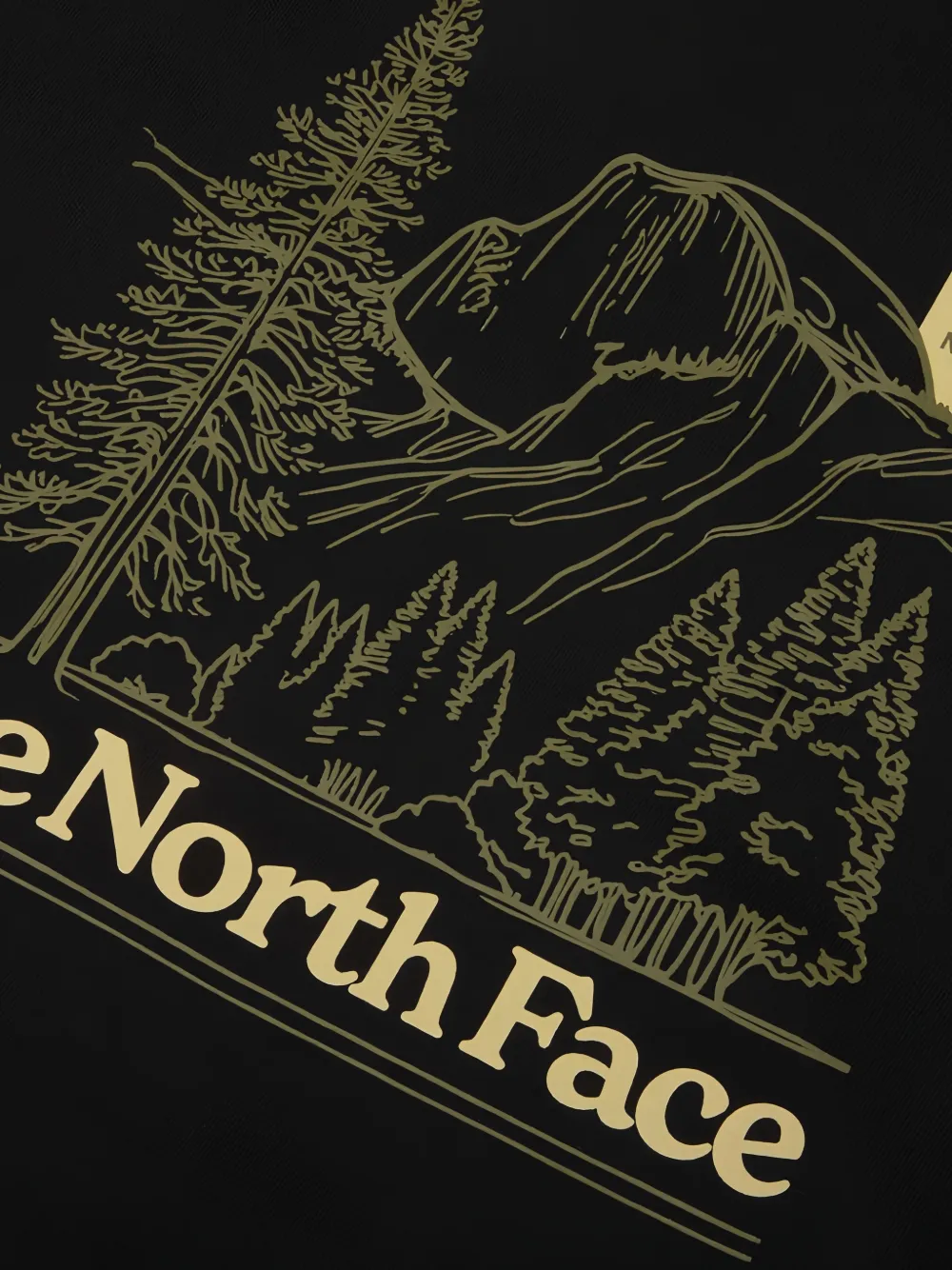 The North Face Evolution Monte regular hoodie Zwart