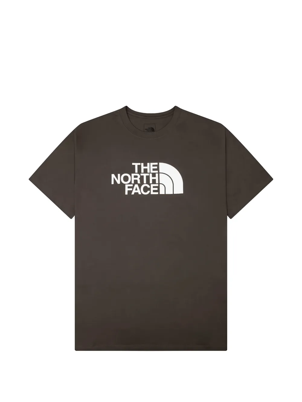 The North Face Evolution Half Dome regular T-Shirt Bruin