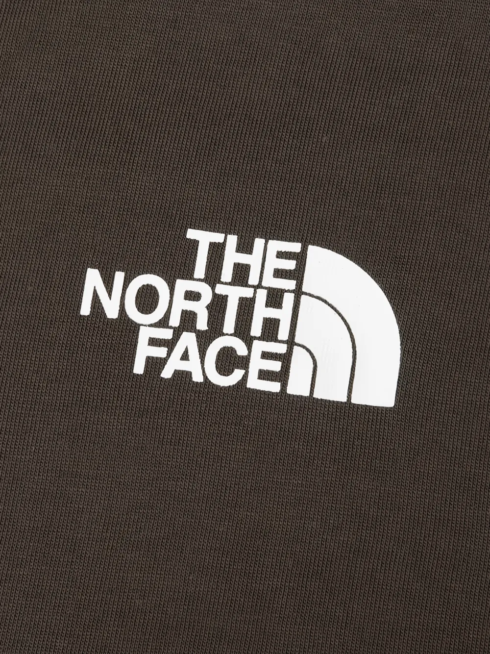 The North Face Evolution Half Dome regular T-Shirt Bruin