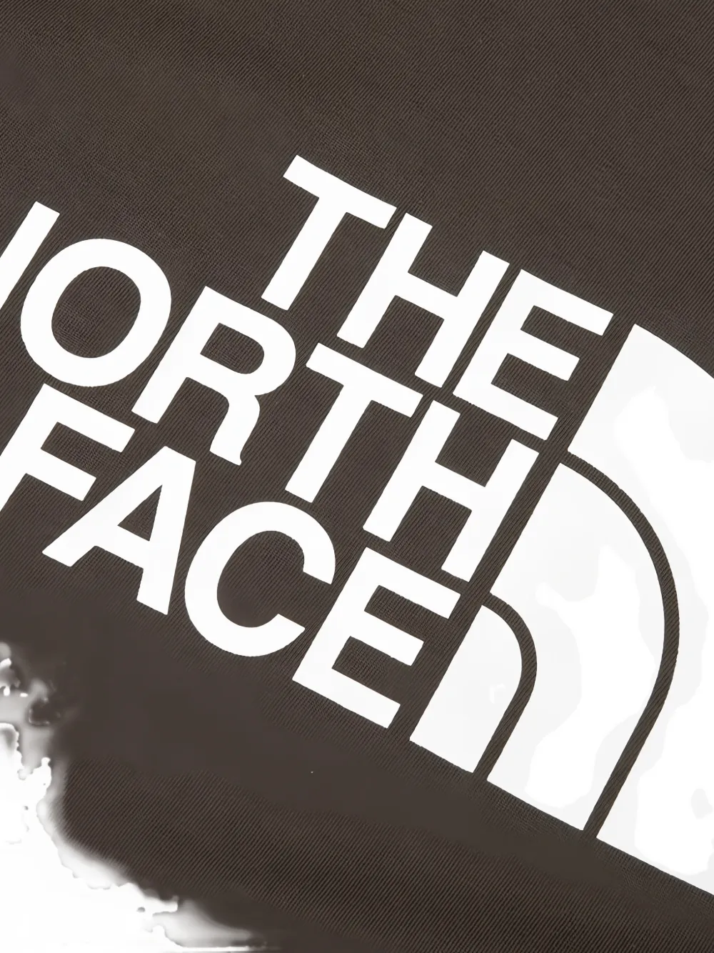 The North Face Evolution Half Dome regular T-Shirt Bruin