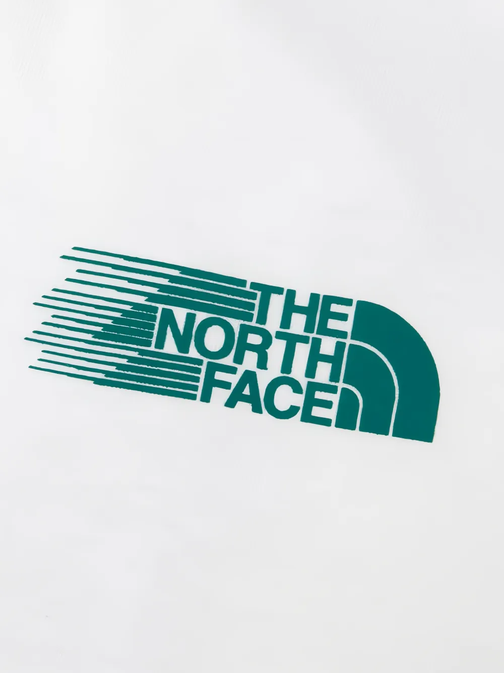 The North Face Retro Trail graphic T-shirt Wit