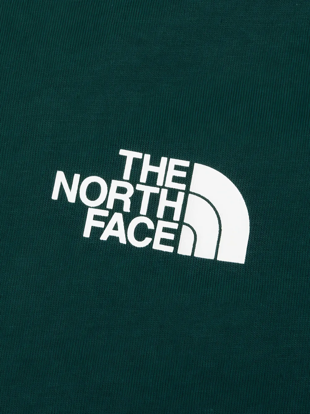 The North Face Mountain Sketch Regular Graphic T-shirt Groen