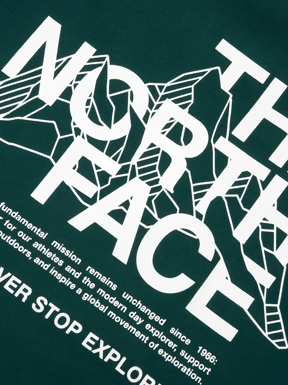 The North Face Mountain Sketch Regular Graphic T-shirt Groen