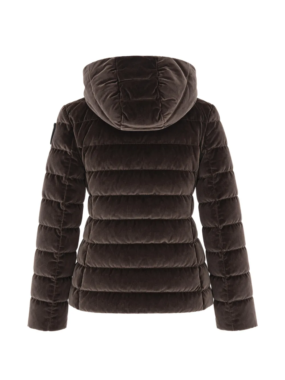 Blauer quilted hooded jacket Bruin