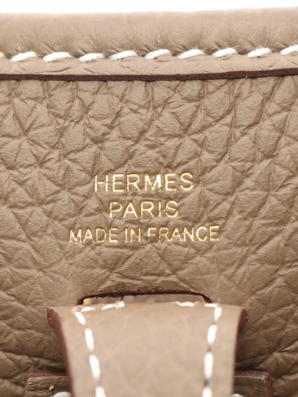 Hermès Pre-Owned 2026 TPM Evelyn Amazon mini bag Bruin