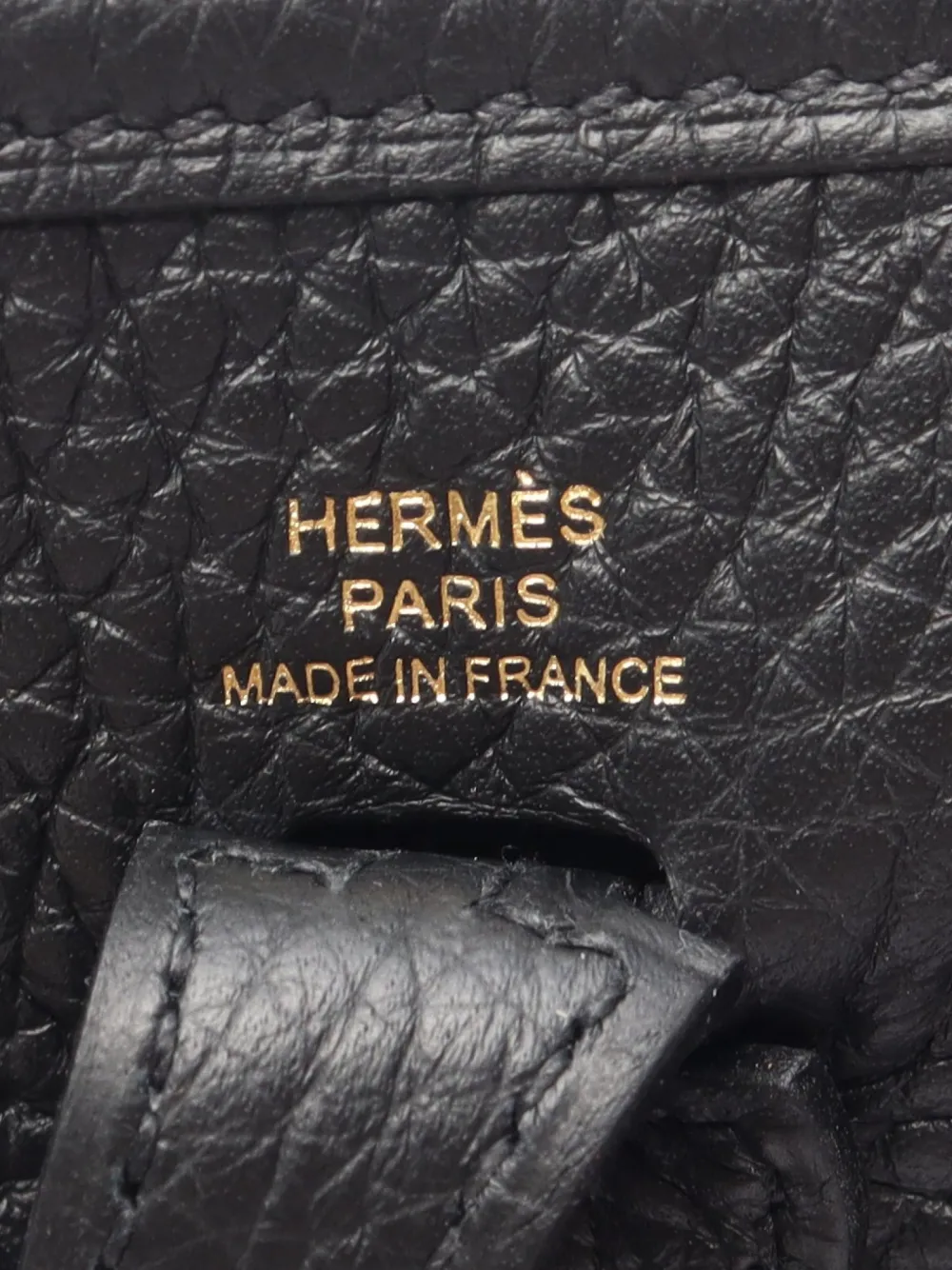 Hermès Pre-Owned 2026 TPM Evelyn Amazon mini bag Zwart
