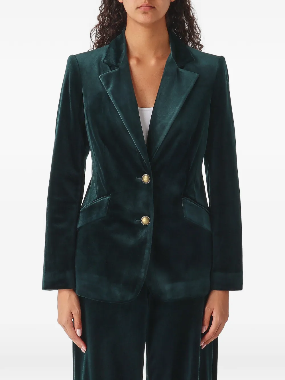 Nenette Briatico velvet single-breasted blazer - Green