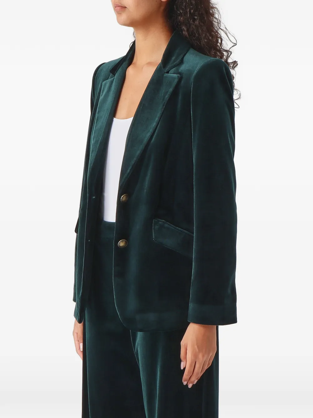 Nenette Briatico velvet single-breasted blazer Groen