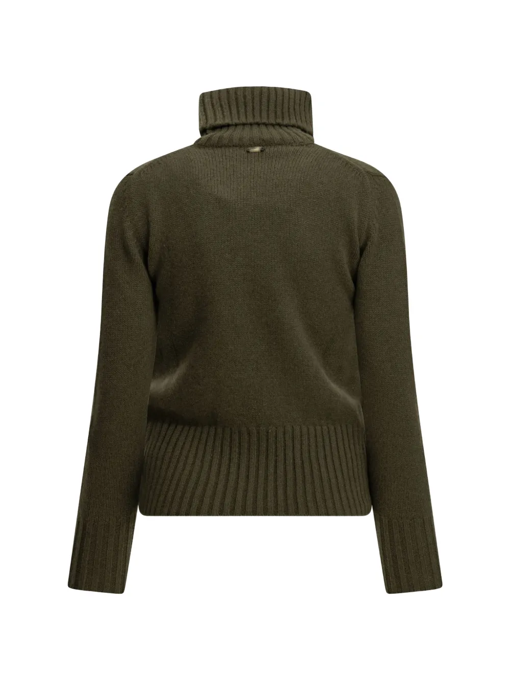 Fedeli Derby Edera roll-neck cashmere sweater Groen