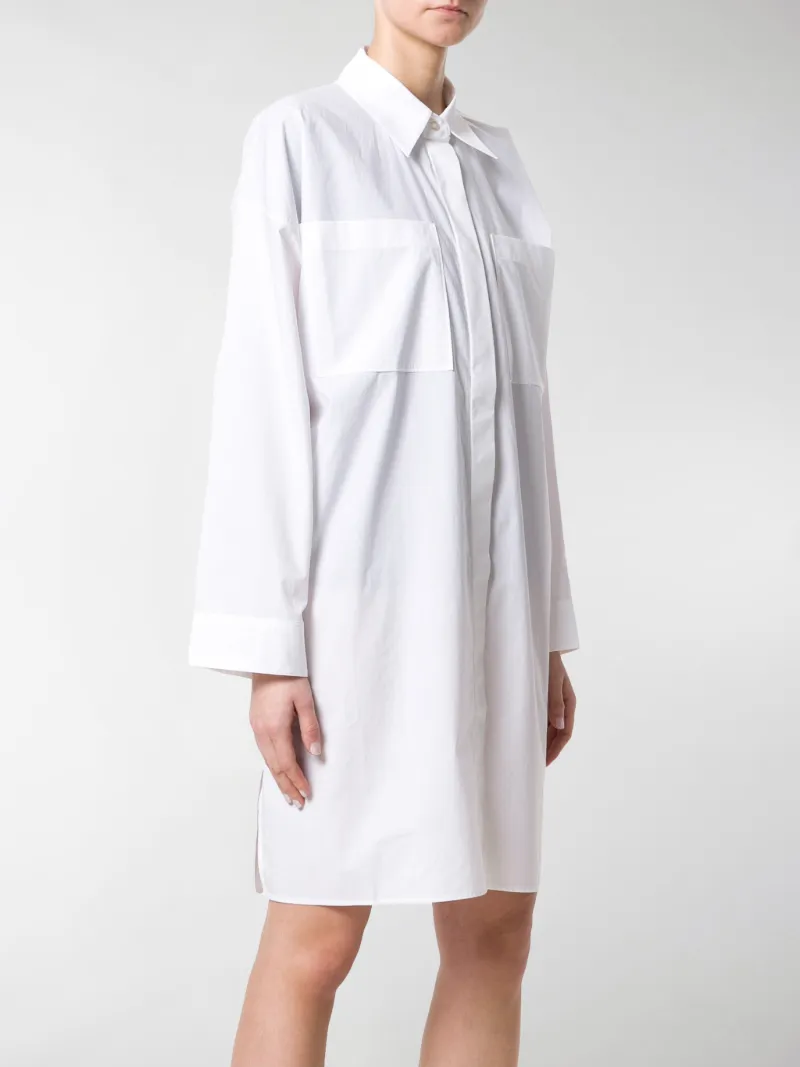 acne button down dress