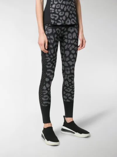 believe this comfort tights