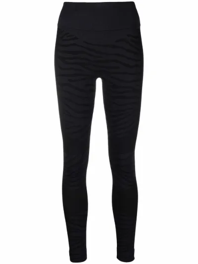 zebra adidas leggings