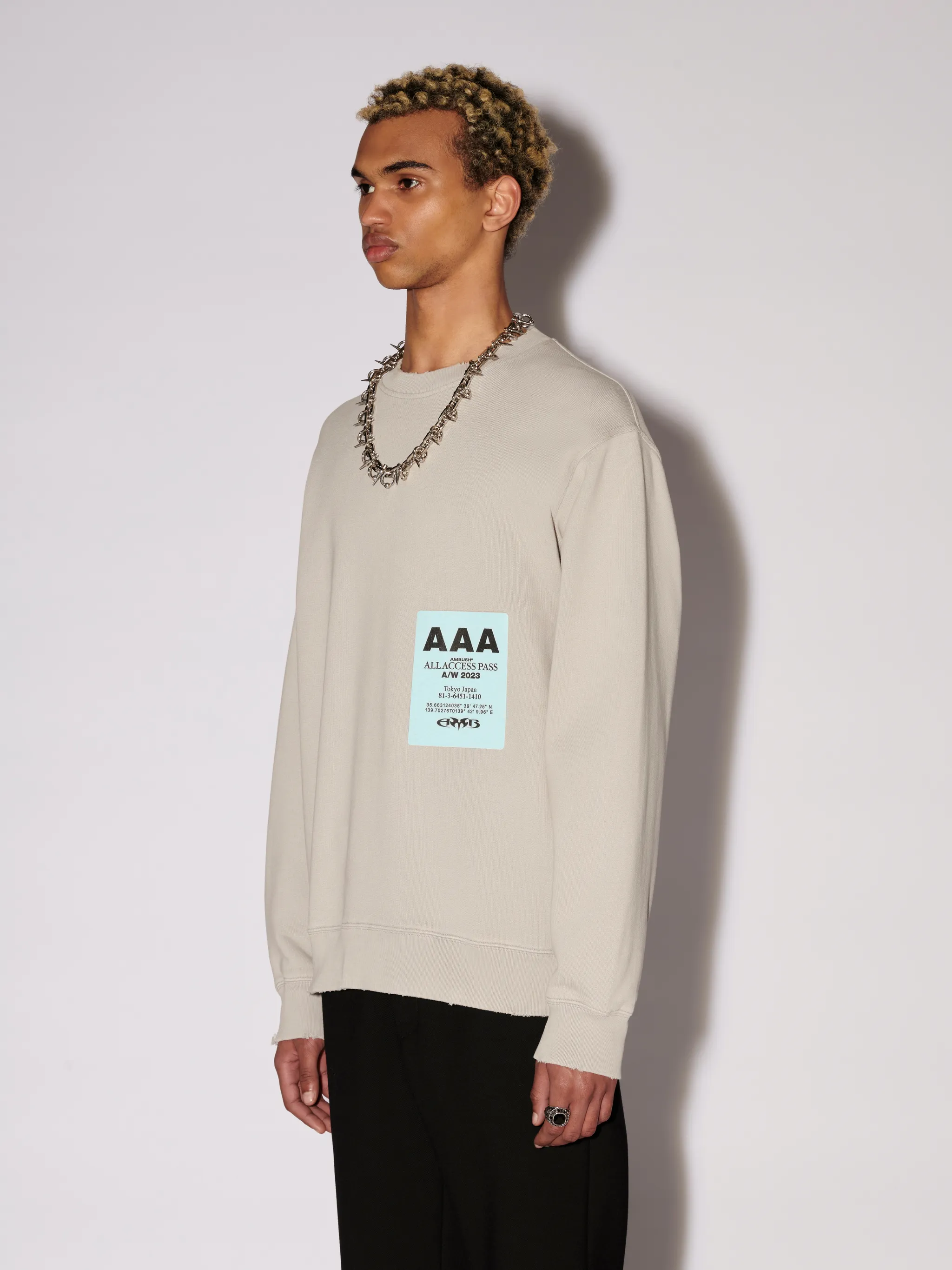 PASS GRAPHIC CREWNECK