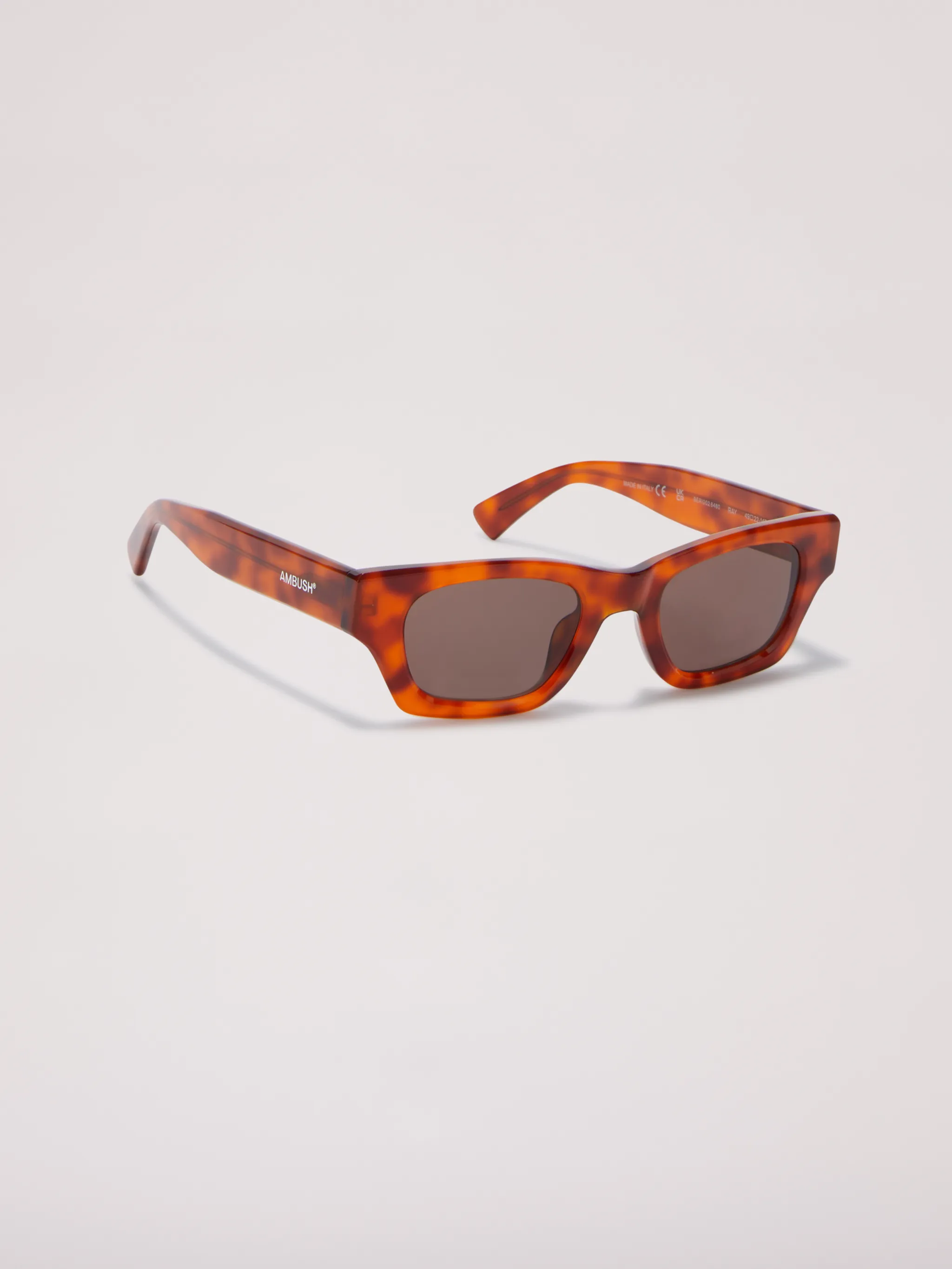 Ray Sunglasses