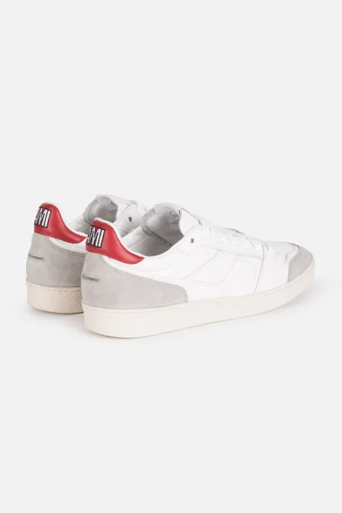 alexandre basket