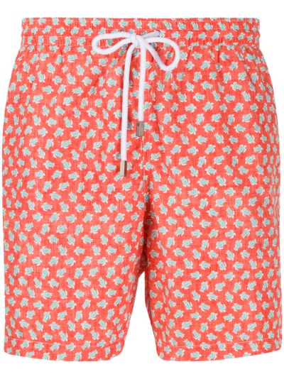 turtle print swim shorts