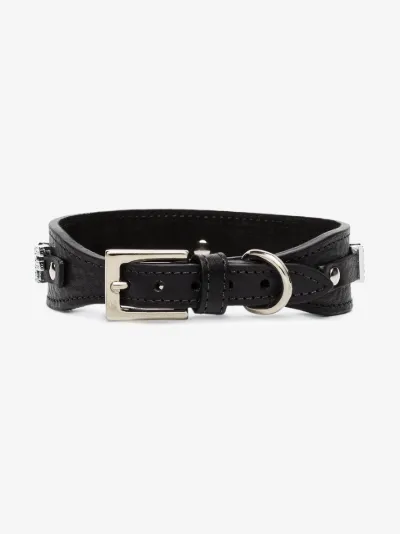 woof dog collar