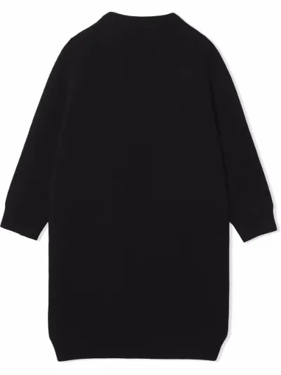 burberry jumper dress