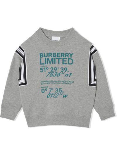 Burberry sweater kids shops silver