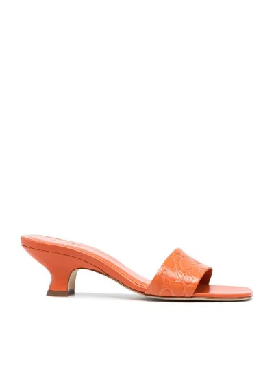 crocodile mules