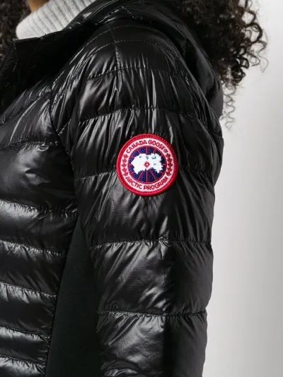 canada goose shiny coat