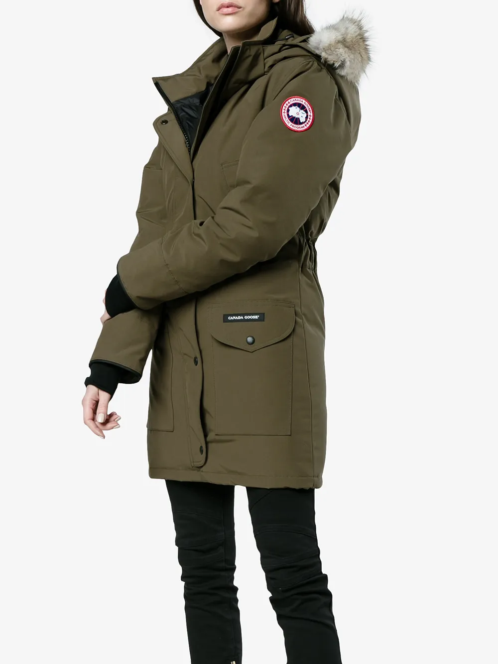 canada goose brown canada goose brown