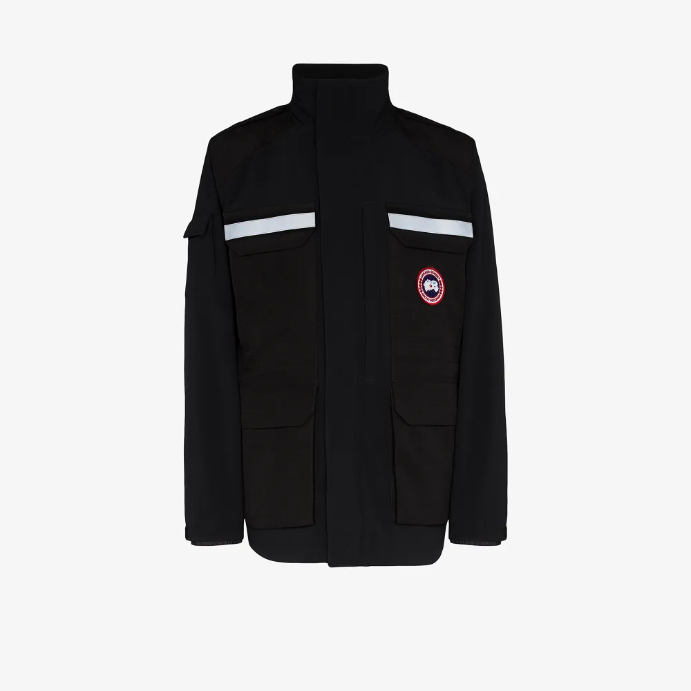 canada goose photojournalist